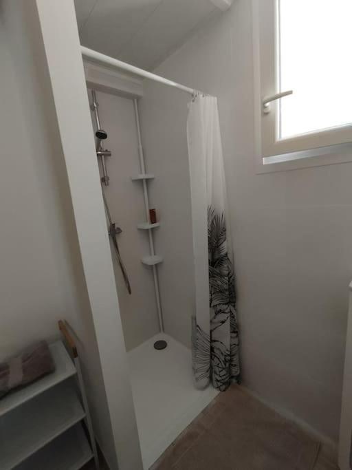 Studio En Petite Camargue Le Cailar Extérieur photo
